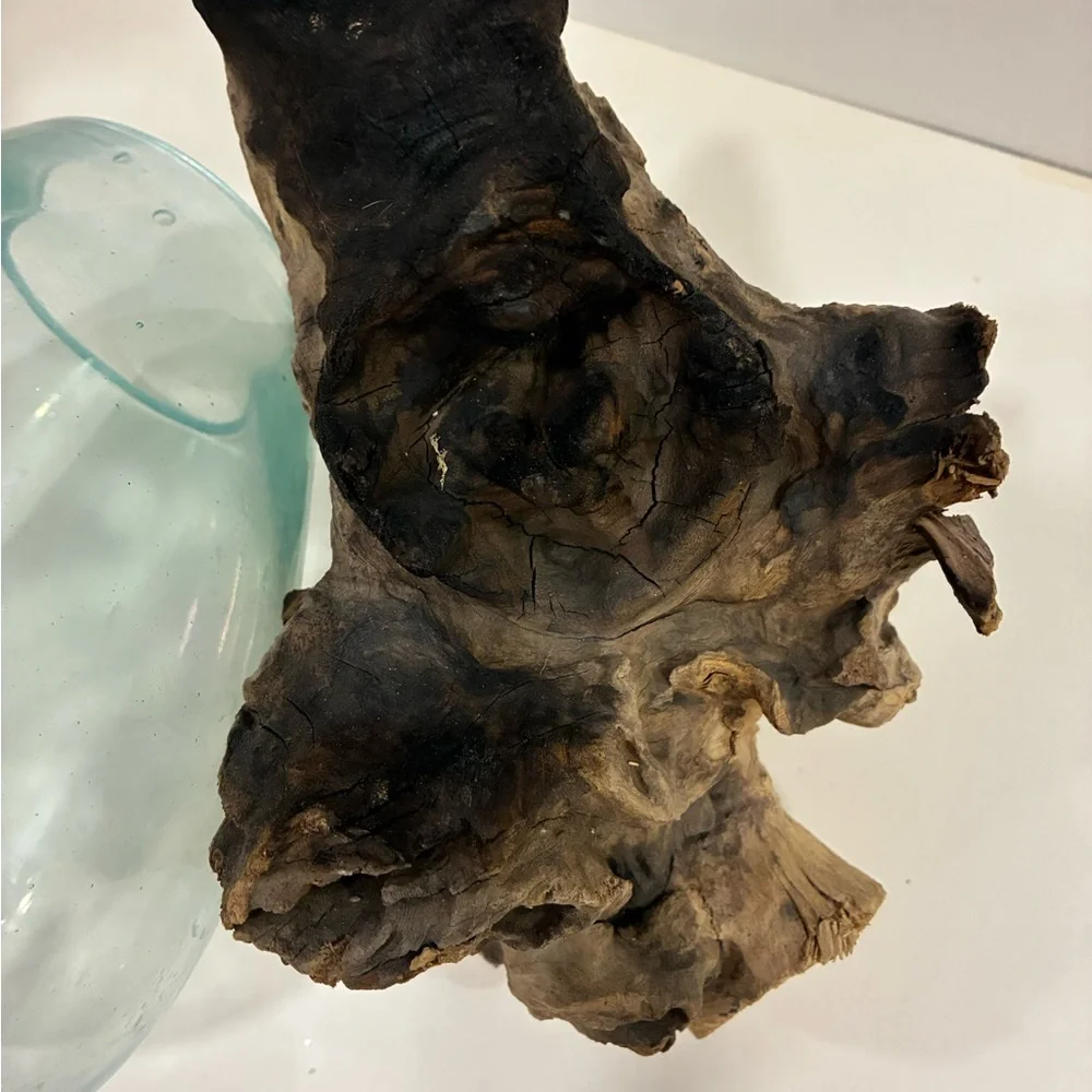Atrium/Fishbowl Glass Teak Burl Wood Fishbowl/Airplant Display
Molten Glass - Picture 10 of 14